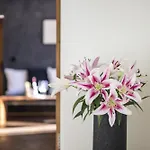 Apartment Chasa Vital