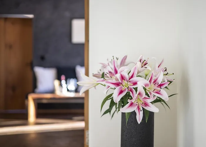 Apartman Chasa Vital